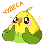 Зелёный Птенчик (@TgSticker) telegram stickers