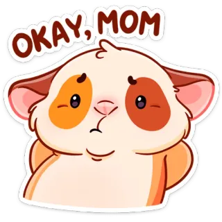 😬 OKAY, MOM criceto, adesivo, carino, animale domestico, animale, ok mamma telegram sticker