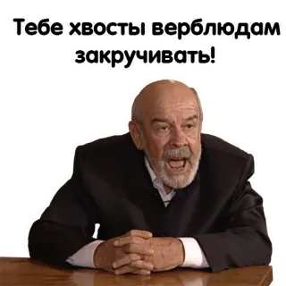 😗 Тебе хвосты верблюдам закручивать! telegram sticker