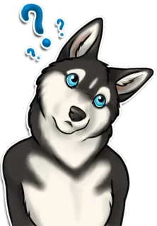 ❓ anjing, husky, pertanyaan, bingung, binatang, lucu, kartun whatsapp sticker