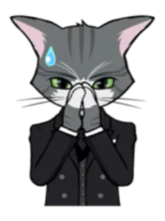 😓 고양이, 애니메이션, 의인화, 땀방울, 초조, 걱정 telegram sticker