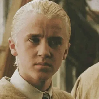 🐾 Draco Malfoy Harry Potter 드레이코 말포이, 해리 포터, 슬리데린, 마법사, 캐릭터, 마법, 금발 telegram sticker