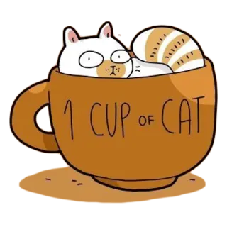 🙃 1 CUP OF CAT gato, xícara, café, chá, gatinho, animal, fofo, engraçado whatsapp sticker