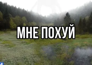 🥰 МНЕ ПОХУЙ Phrase, Russisch, Ausdruck, Gleichgültigkeit telegram sticker
