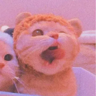 🌸 猫, 動物, 子猫, 可愛い, あくび, ピンク telegram sticker