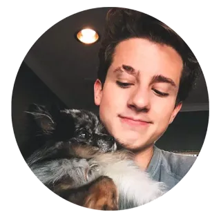 🐕 man, dog, portrait, pet, person telegram sticker