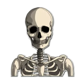 👽 scheletro, anatomia, cranio, ossa telegram sticker