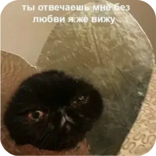 😡 ты отвечаешь мне без любви я же вижу telegram sticker
