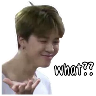 BTS derp by @wontae telegram stickers