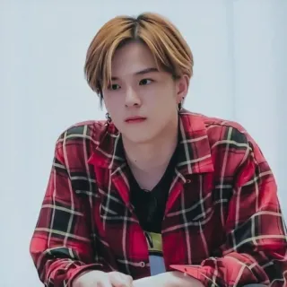 😔 uomo, camicia a quadri, coreano, asiatico, ritratto, maschio, persona, giovane telegram sticker
