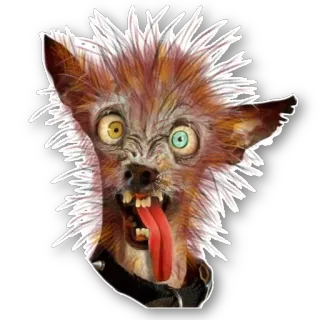 Animals telegram stickers