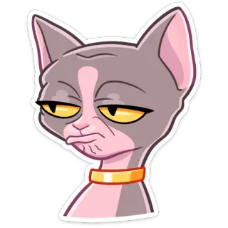 😕 Katze, Sphynx, Haustier, Tier, Aufkleber, lustig, Meme whatsapp sticker