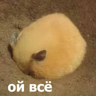 😒 ой всё แฮมสเตอร์, น่ารัก, สัตว์, สัตว์ฟันแทะ telegram sticker