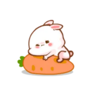 😐 królik, marchewka, słodki, kawaii, zwierzę whatsapp sticker