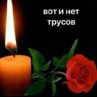 ❤️ Вот и нет трусов 蜡烛, 玫瑰, 纪念, 失去, 悲伤, 象征 telegram sticker