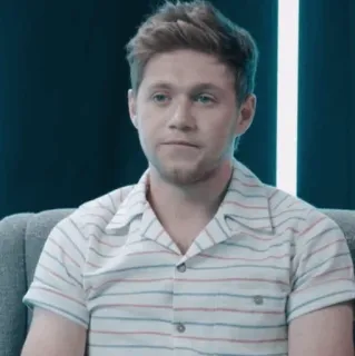 🎸 Niall Horan pessoa, cantor, celebridade, one direction telegram sticker