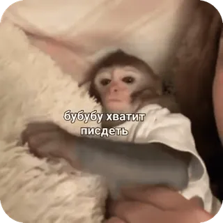 🌟 бубубу хватит пиздеть monkey, cute, animal, primate, meme telegram sticker
