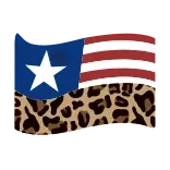 🇱🇷
