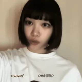 🥐 CHAEWON woman, girl, face, korean, person, portrait telegram sticker