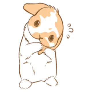 😌 kelinci, lucu, binatang, kartun, stiker whatsapp sticker