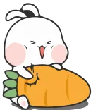 🥕 rabbit, bunny, carrot, cute, animal telegram sticker