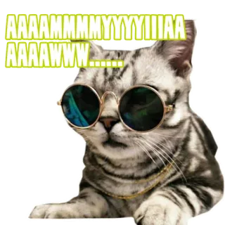 😎 AAAAMMMYYYYIIIAA
AAAAAWWW...... кот, очки, смешной, милый, животное, мем, питомец telegram sticker