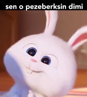 🤔 Snowball The Secret Life of Pets sen o pezeberksin dimi 토끼, 귀여운, 불쾌한, 텍스트, 밈, 애니메이션, 토끼 whatsapp sticker
