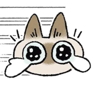😿 cat, sticker, cute, cartoon, kawaii, eyes telegram sticker