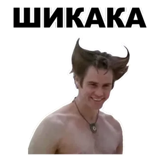 😈 ШИКАКА whatsapp sticker