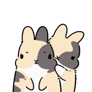 ๐ค Bunny telegram sticker