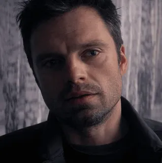 🍓 Winter Soldier sebastian stan, soldat de l'hiver, marvel, bucky barnes, acteur, personnage de film, super-héros telegram sticker