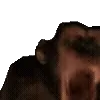 🐒
