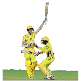 🤘 Sport, Cricket, Sportler, Feier, Gewinner whatsapp sticker