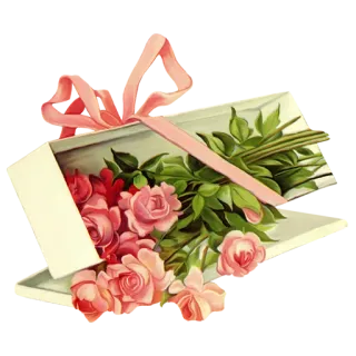 💐 цветы, розы, букет, подарок, розовый, цветочный telegram sticker
