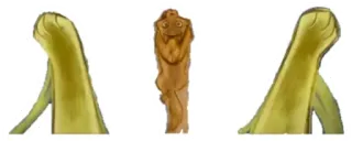 😱 telegram sticker