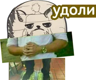 ❌ удоли Katze, Mann, Sticker, Russisch telegram sticker