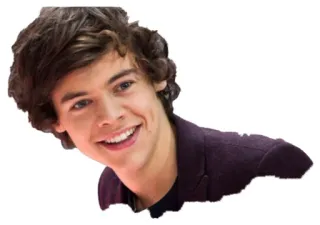 😃 Harry Styles harry styles, singer, one direction, celebrity, pop star, musician telegram sticker