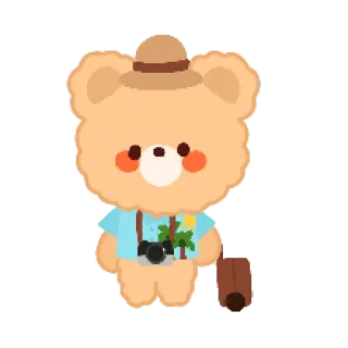 🐻 urso, viagem, câmera, mala, desenho animado, férias, explorador, turismo telegram sticker