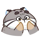 👏 gato, lindo, animal, pegatina, divertido, dibujo animado telegram sticker