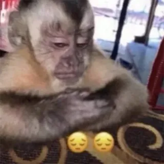 😞 singe, triste, emoji, animal telegram sticker