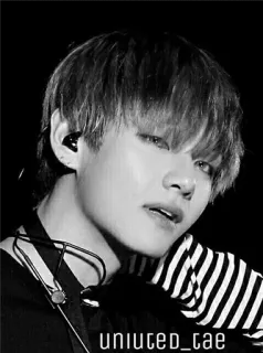 🌿 uniuted_tae K-Pop, Musik, Idol, Promi, Unterhaltung whatsapp sticker