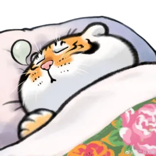 😴 gatto, dormire, carino, animale, cartone animato telegram sticker