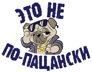 😡 ЭТО НЕ ПО-ПАЦАНСКИ perro, carlino, gafas de sol, cadena de oro, dibujos animados telegram sticker