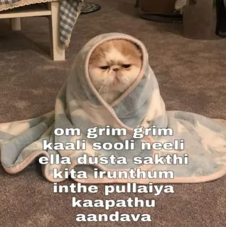 😂 om grim grim
kaali sooli neeli
ella dusta sakthi
kita irunthum
inthe pullaiya
kaapathu
aandava gato, cobertor, fofo, engraçado, meme, tamil, texto telegram sticker