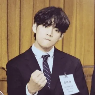 👊 V 김태형 kim taehyung, v, kpop, bts, chanteur, acteur telegram sticker