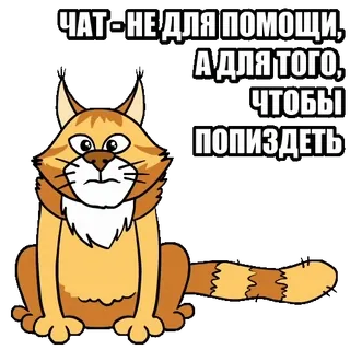 🐈 ЧАТ - НЕ ДЛЯ ПОМОЩИ, А ДЛЯ ТОГО, ЧТОБЫ ПОПИЗДЕТЬ cat, chat, russian, text, meme telegram sticker