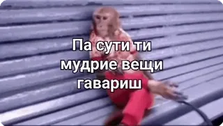🤓 Па сути ти мудрие вещи гавариш monkey, sitting, text, animals telegram sticker