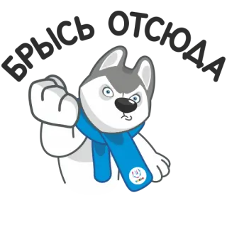 😠 Husky, Hund, Cartoon, Schal, Geste, beleidigend telegram sticker