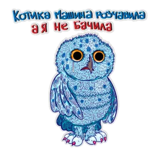 🤔 Котика машина розчавила а я не бачила Eule, traurig, weinend, Tier, süß, blau telegram sticker