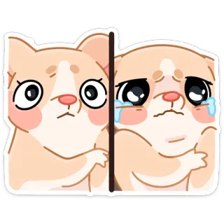 😭 cat, sad, cute, crying, kawaii, emoji telegram sticker